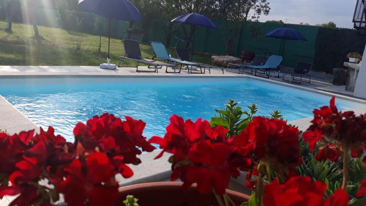 Holiday Home Dioniza Vodnjan Buitenkant foto